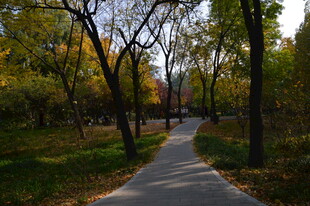 公园风景 