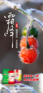 小雪