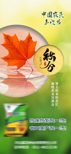 秋分