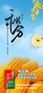 秋分
