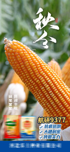 秋分