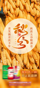 秋分