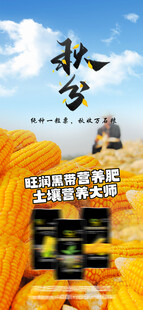 秋分