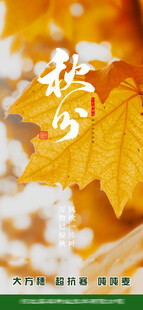 秋分