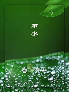 雨水节海报展板素材