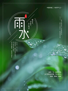 雨水节海报展板素材