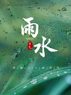 雨水节海报展板素材