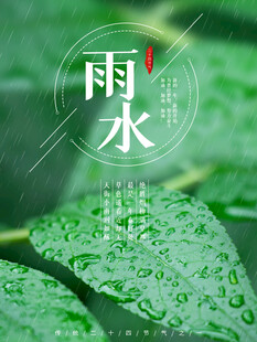 雨水节海报展板素材