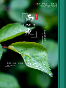 雨水节海报展板素材