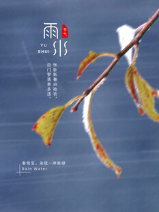 雨水节海报展板素材