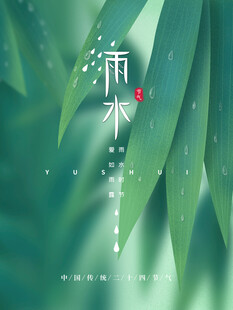 雨水节海报展板素材