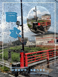 雨水节海报展板素材