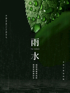 雨水节海报展板素材
