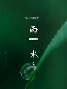 雨水节海报展板素材