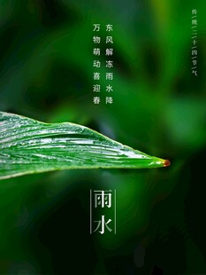 雨水节海报展板素材