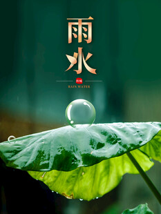 雨水节海报展板素材