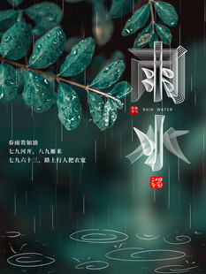 雨水节海报展板素材