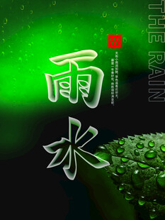 雨水节海报展板素材