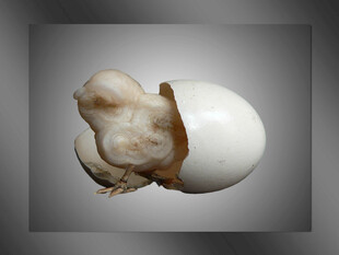 奇石小鸡出壳
