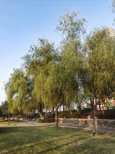 公园美景