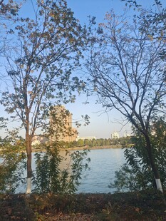 河边风景