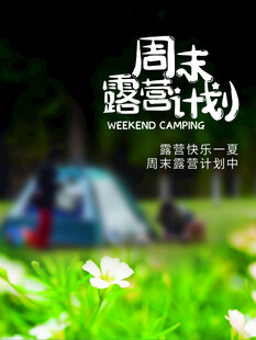 露营出游踏青海报展板素材