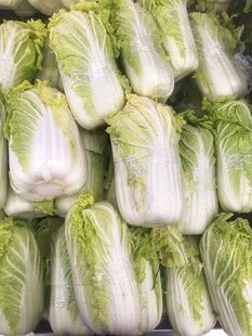 大白菜