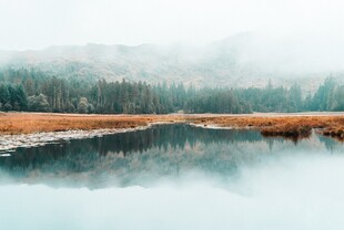 树林湖泊