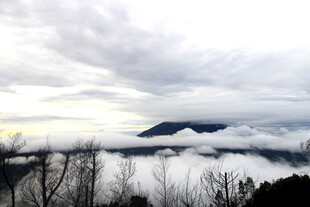 高山云海