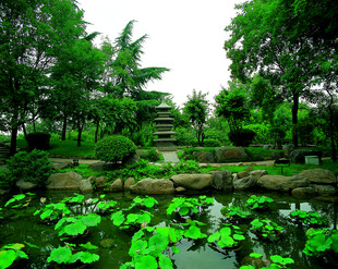 公园风景