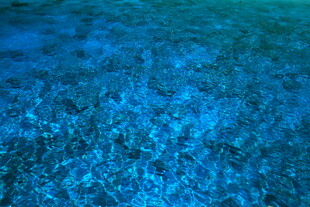 海水