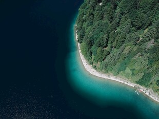 环岛海域树林
