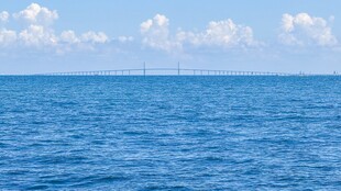 大海