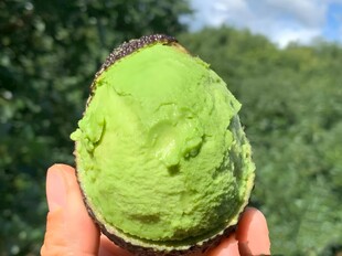 牛油果