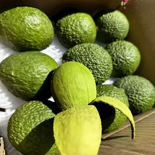 牛油果