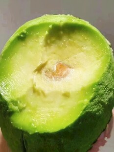 牛油果