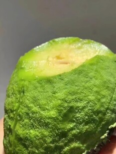 牛油果