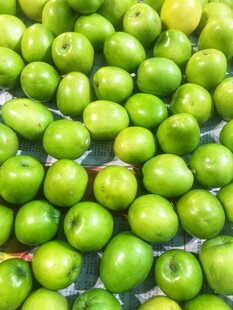 青脆枣