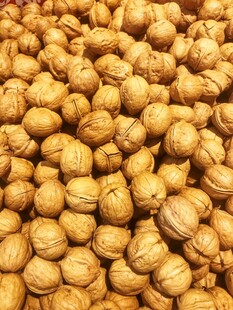 核桃