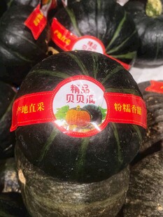 贝贝南瓜