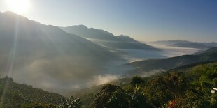 云南 茶山 日出 自然