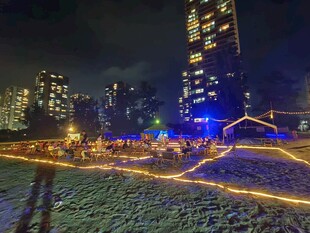大海 沙滩夜景