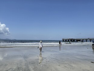  大海 沙滩 