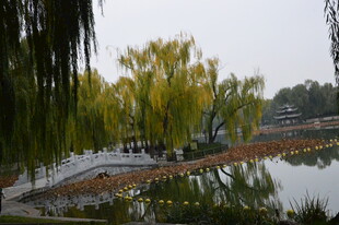 公园风景 