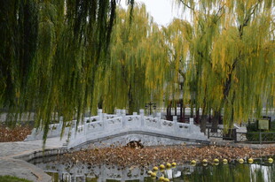 公园风景  