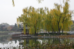 公园风景  