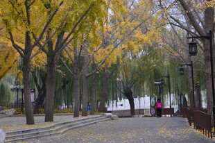 公园风景 