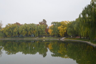 公园风景 