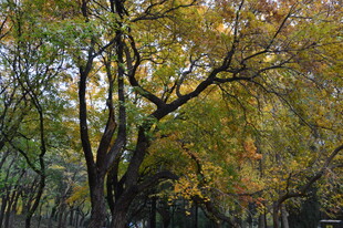 公园风景  