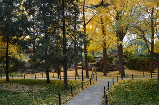 公园风景 